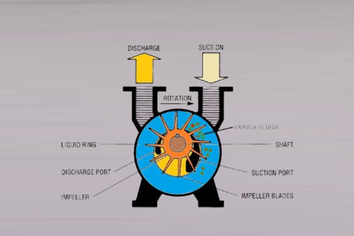 Liquid Ring Vacuum Pump